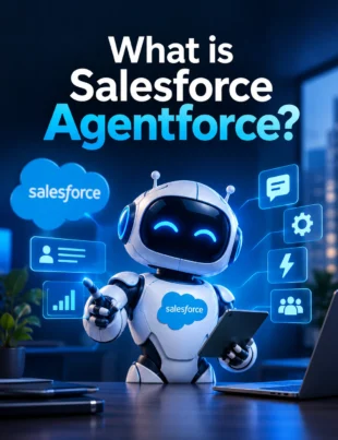 What is Salesforce Agentforce showing an AI agent working with business data